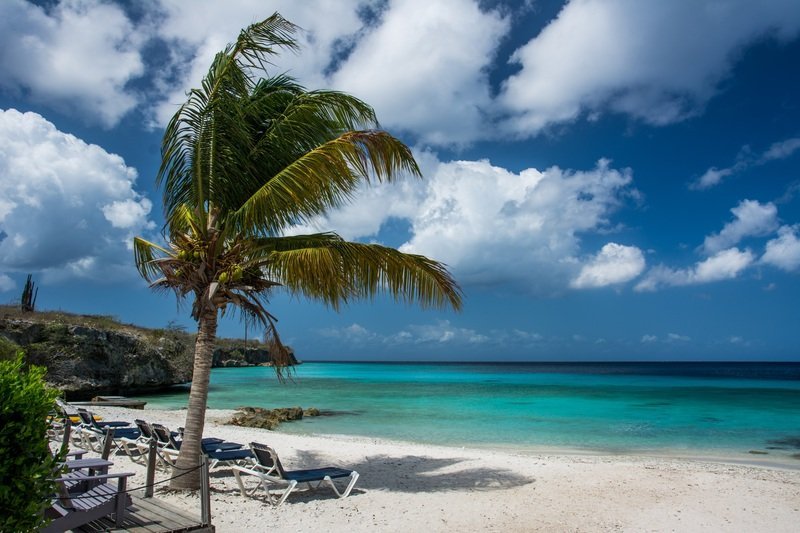 beach-landscape-sea-coast-tree-water-1238800-pxhere.com